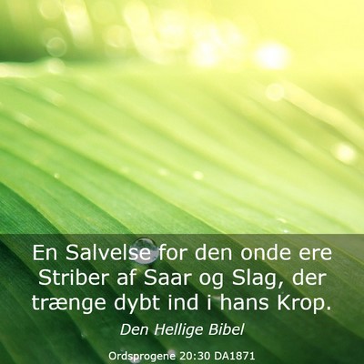 Picture 03 - Ordsprogene 20:30 DA1871 - En Salvelse for den onde ere Striber af Saar og - Bible Verse Picture