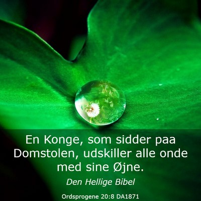 Picture 03 - Ordsprogene 20:8 DA1871 - En Konge, som sidder paa Domstolen, udskiller - Bible Verse Picture