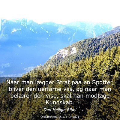 Picture 03 - Ordsprogene 21:11 DA1871 - Naar man lægger Straf paa en Spotter, bliver den - Bible Verse Picture