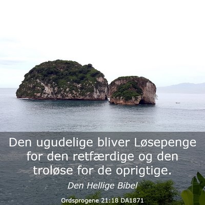 Picture 03 - Ordsprogene 21:18 DA1871 - Den ugudelige bliver Løsepenge for den - Bible Verse Picture
