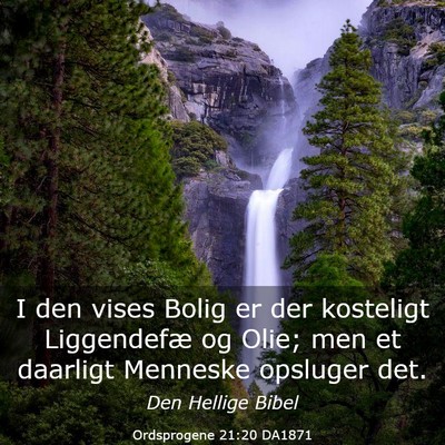 Picture 03 - Ordsprogene 21:20 DA1871 - I den vises Bolig er der kosteligt Liggendefæ og - Bible Verse Picture