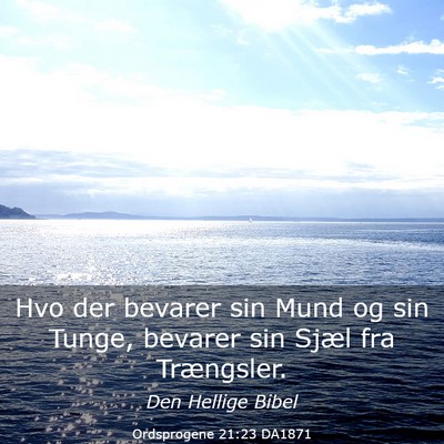 Picture 03 - Ordsprogene 21:23 DA1871 - Hvo der bevarer sin Mund og sin Tunge, bevarer - Bible Verse Picture