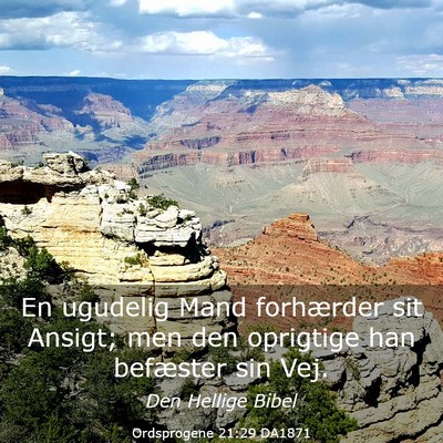 Picture 03 - Ordsprogene 21:29 DA1871 - En ugudelig Mand forhærder sit Ansigt; men den - Bible Verse Picture
