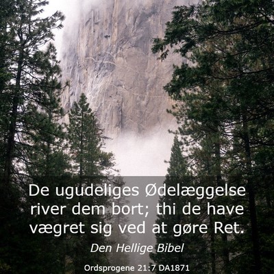 Picture 03 - Ordsprogene 21:7 DA1871 - De ugudeliges Ødelæggelse river dem bort; thi - Bible Verse Picture