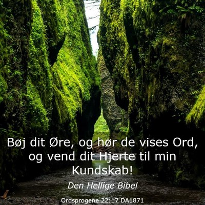 Picture 03 - Ordsprogene 22:17 DA1871 - Bøj dit Øre, og hør de vises Ord, og vend dit - Bible Verse Picture