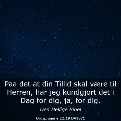 Picture 03 - Ordsprogene 22:19 DA1871 - Paa det at din Tillid skal være til Herren, har - Bible Verse Picture