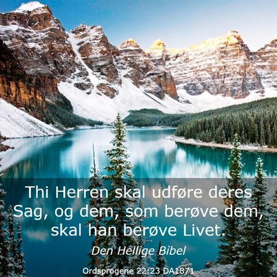 Picture 03 - Ordsprogene 22:23 DA1871 - Thi Herren skal udføre deres Sag, og dem, som - Bible Verse Picture