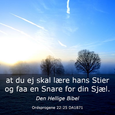 Picture 03 - Ordsprogene 22:25 DA1871 - at du ej skal lære hans Stier og faa en Snare - Bible Verse Picture