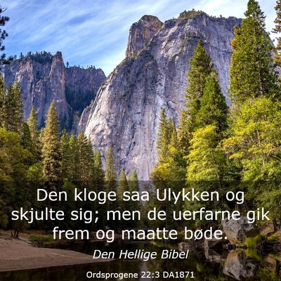 Picture 03 - Ordsprogene 22:3 DA1871 - Den kloge saa Ulykken og skjulte sig; men de - Bible Verse Picture