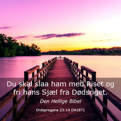 Picture 03 - Ordsprogene 23:14 DA1871 - Du skal slaa ham med Riset og fri hans Sjæl fra - Bible Verse Picture