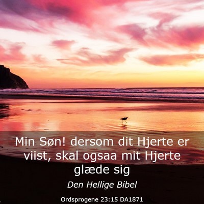 Picture 03 - Ordsprogene 23:15 DA1871 - Min Søn! dersom dit Hjerte er viist, skal ogsaa - Bible Verse Picture