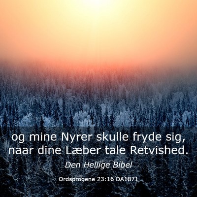 Picture 03 - Ordsprogene 23:16 DA1871 - og mine Nyrer skulle fryde sig, naar dine Læber - Bible Verse Picture