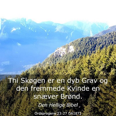 Picture 03 - Ordsprogene 23:27 DA1871 - Thi Skøgen er en dyb Grav og den fremmede Kvinde - Bible Verse Picture