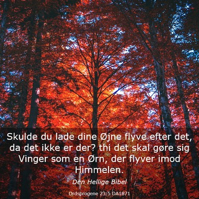 Picture 03 - Ordsprogene 23:5 DA1871 - Skulde du lade dine Øjne flyve efter det, da det - Bible Verse Picture