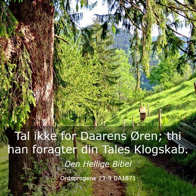 Picture 03 - Ordsprogene 23:9 DA1871 - Tal ikke for Daarens Øren; thi han foragter din - Bible Verse Picture