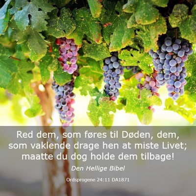 Picture 03 - Ordsprogene 24:11 DA1871 - Red dem, som føres til Døden, dem, som vaklende - Bible Verse Picture