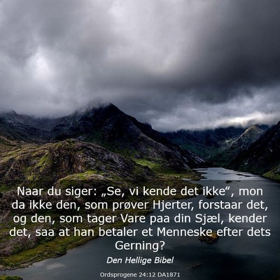 Picture 03 - Ordsprogene 24:12 DA1871 - Naar du siger: „Se, vi kende det ikke‟, mon - Bible Verse Picture