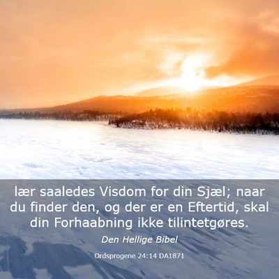 Picture 03 - Ordsprogene 24:14 DA1871 - lær saaledes Visdom for din Sjæl; naar du - Bible Verse Picture