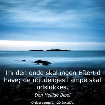 Picture 03 - Ordsprogene 24:20 DA1871 - Thi den onde skal ingen Eftertid have; de - Bible Verse Picture