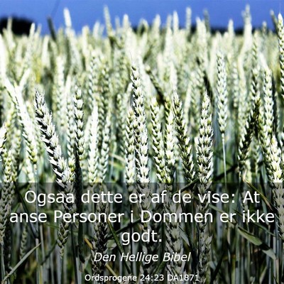 Picture 03 - Ordsprogene 24:23 DA1871 - Ogsaa dette er af de vise: At anse Personer i - Bible Verse Picture