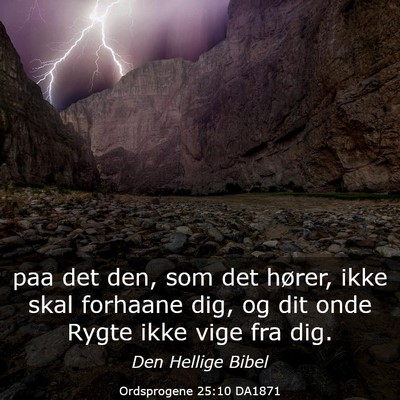 Picture 03 - Ordsprogene 25:10 DA1871 - paa det den, som det hører, ikke skal forhaane - Bible Verse Picture