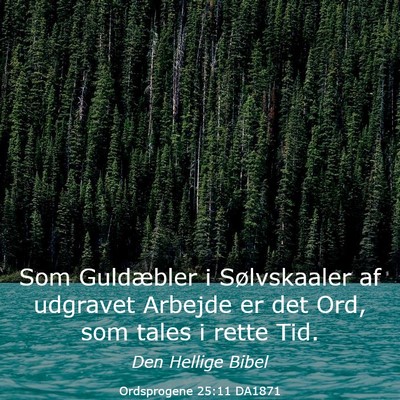 Picture 03 - Ordsprogene 25:11 DA1871 - Som Guldæbler i Sølvskaaler af udgravet Arbejde - Bible Verse Picture