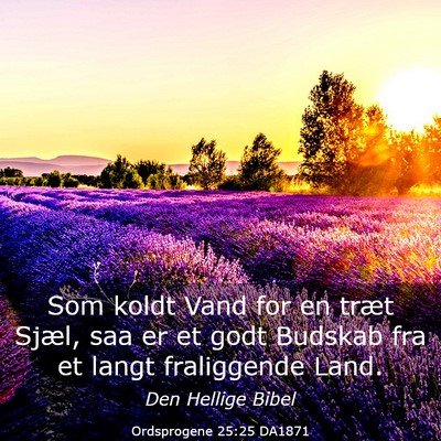 Picture 03 - Ordsprogene 25:25 DA1871 - Som koldt Vand for en træt Sjæl, saa er et godt - Bible Verse Picture