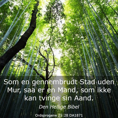 Picture 03 - Ordsprogene 25:28 DA1871 - Som en gennembrudt Stad uden Mur, saa er en Mand, - Bible Verse Picture