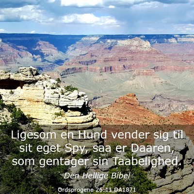 Picture 03 - Ordsprogene 26:11 DA1871 - Ligesom en Hund vender sig til sit eget Spy, saa - Bible Verse Picture