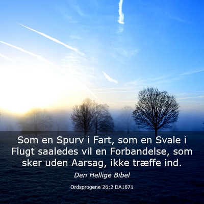 Picture 03 - Ordsprogene 26:2 DA1871 - Som en Spurv i Fart, som en Svale i Flugt - Bible Verse Picture