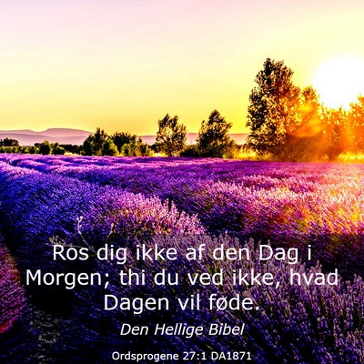 Picture 03 - Ordsprogene 27:1 DA1871 - Ros dig ikke af den Dag i Morgen; thi du ved - Bible Verse Picture