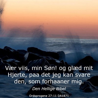 Picture 03 - Ordsprogene 27:11 DA1871 - Vær viis, min Søn! og glæd mit Hjerte, paa det - Bible Verse Picture