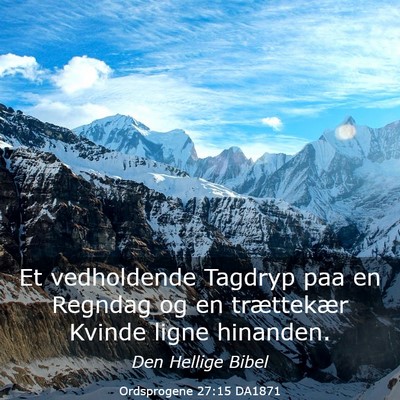 Picture 03 - Ordsprogene 27:15 DA1871 - Et vedholdende Tagdryp paa en Regndag og en - Bible Verse Picture