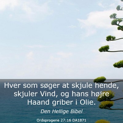 Picture 03 - Ordsprogene 27:16 DA1871 - Hver som søger at skjule hende, skjuler Vind, og - Bible Verse Picture