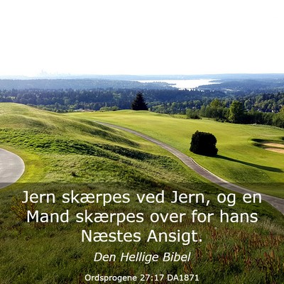 Picture 03 - Ordsprogene 27:17 DA1871 - Jern skærpes ved Jern, og en Mand skærpes over - Bible Verse Picture