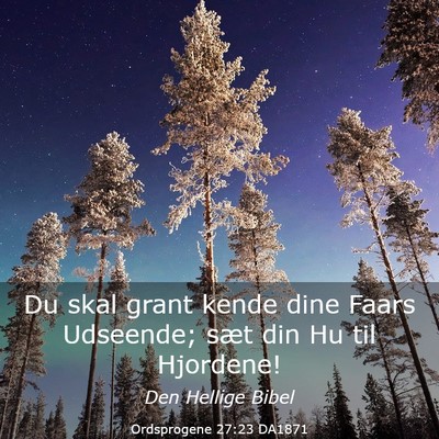 Picture 03 - Ordsprogene 27:23 DA1871 - Du skal grant kende dine Faars Udseende; sæt din - Bible Verse Picture
