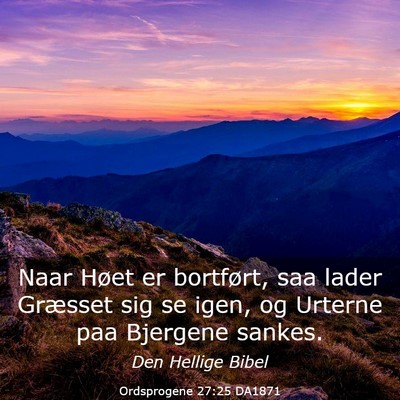 Picture 03 - Ordsprogene 27:25 DA1871 - Naar Høet er bortført, saa lader Græsset sig - Bible Verse Picture
