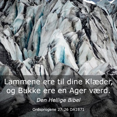 Picture 03 - Ordsprogene 27:26 DA1871 - Lammene ere til dine Klæder, og Bukke ere en - Bible Verse Picture