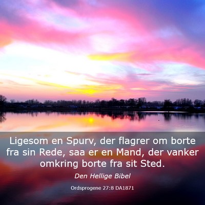 Picture 03 - Ordsprogene 27:8 DA1871 - Ligesom en Spurv, der flagrer om borte fra sin - Bible Verse Picture