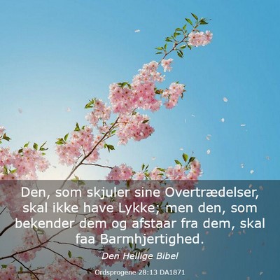Picture 03 - Ordsprogene 28:13 DA1871 - Den, som skjuler sine Overtrædelser, skal ikke - Bible Verse Picture