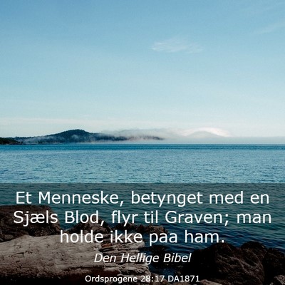 Picture 03 - Ordsprogene 28:17 DA1871 - Et Menneske, betynget med en Sjæls Blod, flyr - Bible Verse Picture