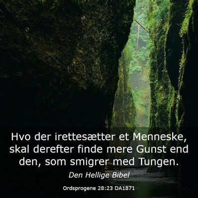 Picture 03 - Ordsprogene 28:23 DA1871 - Hvo der irettesætter et Menneske, skal derefter - Bible Verse Picture