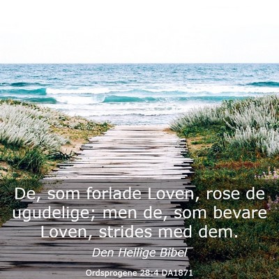 Picture 03 - Ordsprogene 28:4 DA1871 - De, som forlade Loven, rose de ugudelige; men de, - Bible Verse Picture