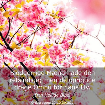 Picture 03 - Ordsprogene 29:10 DA1871 - Blodgerrige Mænd hade den retsindige; men de - Bible Verse Picture