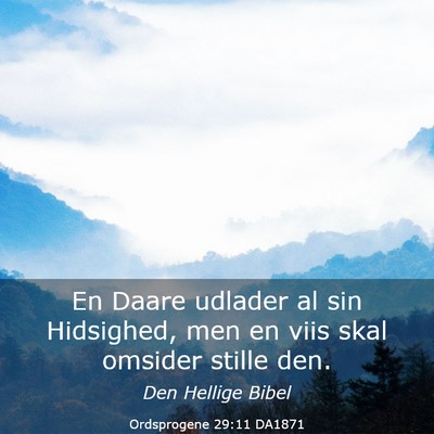 Picture 03 - Ordsprogene 29:11 DA1871 - En Daare udlader al sin Hidsighed, men en viis - Bible Verse Picture