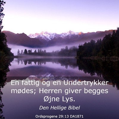 Picture 03 - Ordsprogene 29:13 DA1871 - En fattig og en Undertrykker mødes; Herren giver - Bible Verse Picture