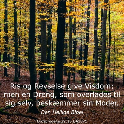 Picture 03 - Ordsprogene 29:15 DA1871 - Ris og Revselse give Visdom; men en Dreng, som - Bible Verse Picture