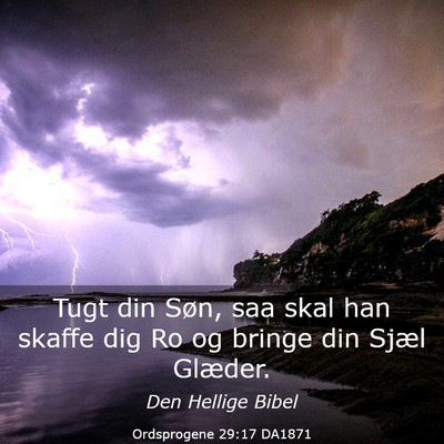 Picture 03 - Ordsprogene 29:17 DA1871 - Tugt din Søn, saa skal han skaffe dig Ro og - Bible Verse Picture