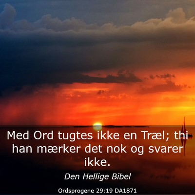 Picture 03 - Ordsprogene 29:19 DA1871 - Med Ord tugtes ikke en Træl; thi han mærker det - Bible Verse Picture
