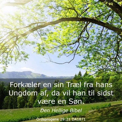 Picture 03 - Ordsprogene 29:21 DA1871 - Forkæler en sin Træl fra hans Ungdom af, da vil - Bible Verse Picture